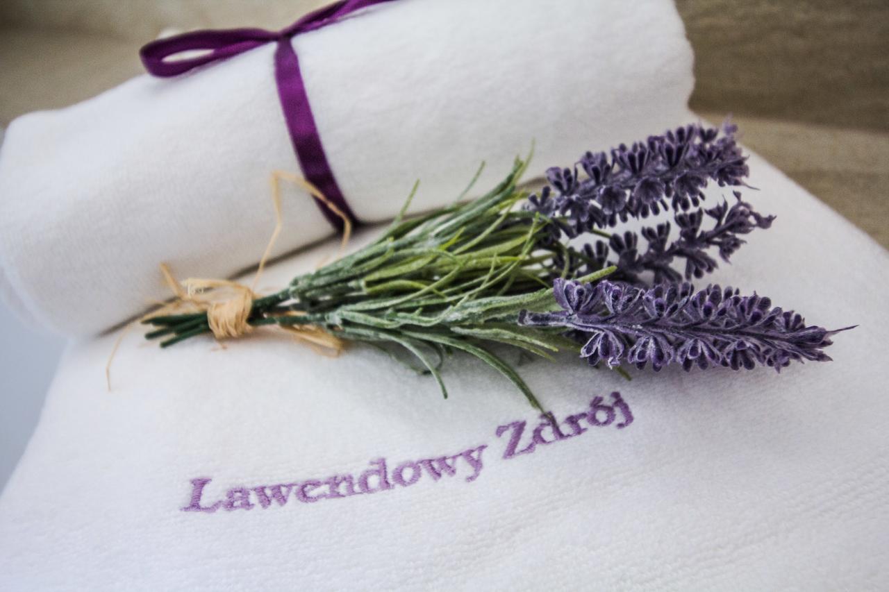 Lawendowy Zdroj Medycyna I Spa Busko-Zdrój Εξωτερικό φωτογραφία